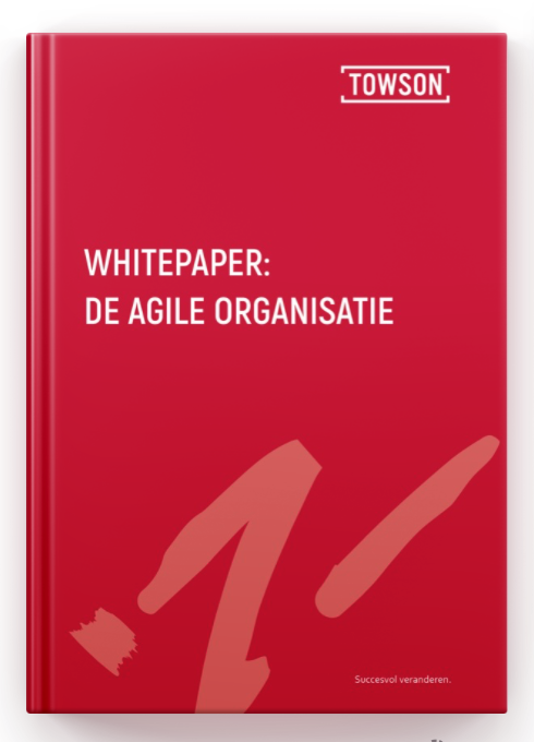 Veel organisaties zijn inmiddels gestart met het agile werken en hebben de ambitie uitgesproken om door te willen groeien naar een volwassen agile organisatie. Maar hoe verander je in een klant- en productgerichte, toekomstbestendige agile organisatie? Lees het in onze whitepaper “De Agile Organisatie”.